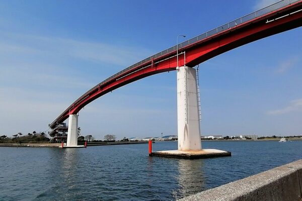 Japan Denies Special Visa Reports for Nigerians in Hometown Initiative